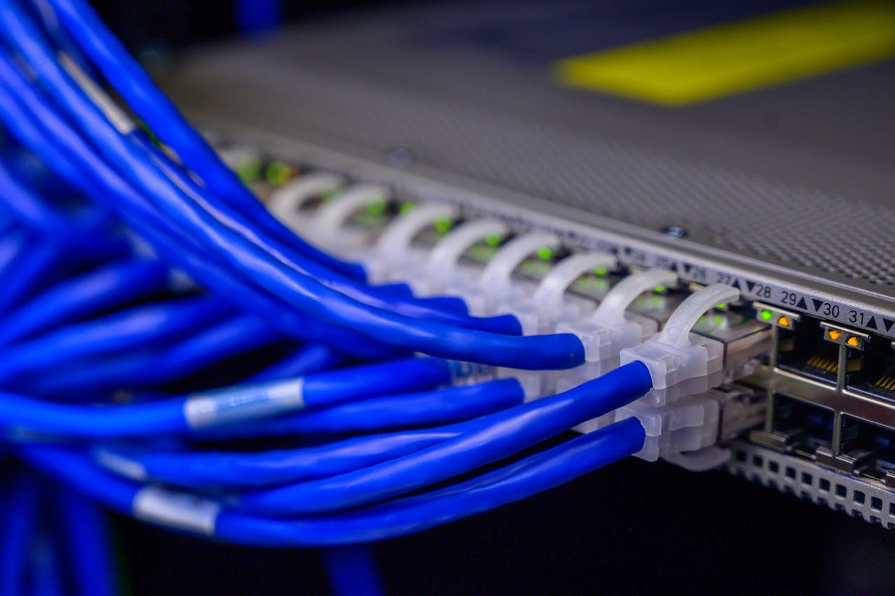 why-choose-us Detailed view of blue ethernet cables connected to a network switch in a data center.